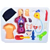 Anatomi Insan Vücudu Doktor Oyun Seti 18 Parça 2988